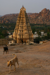 Hampi, Karnataka, India: Virupaksha Temple - Group of Monuments at Hampi - UNESCO World Heritage Site - photo by M.Wright