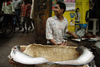 New Delhi, India: fishmonger - street lifeof the old city - photo by G.Koelman