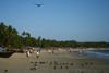 India - Goa: Palolem Beach - photo by M.Wright
