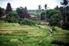 Indonesia - Bali: countryside - wooden temples and village path - photo by Mona Sturges