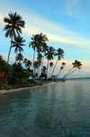 Pulau Tolandono, Wakatobi archipelago, Tukangbesi Islands, South East Sulawesi, Indonesia: sunset in Wakatobi - beach and coconut trees - Banda Sea - Wallacea - photo by D.Stephens