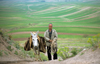 Iran - Fars province: a man and his donkey - rural scene - photo by W.Allgower