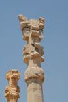 Iran - Persepolis: Gate of all the nations - columns of the central hall - double-bull in the capital - photo by M.Torres
