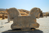 Iran - Persepolis: double-headed kneeling bull - photo by M.Torres