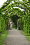 Ireland - Birr (co. Offaly): Birr Castle - Hornbeam cloister in the Millennium Gardens - photo by N.Keegan