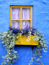 Ireland - Kinsale (County cork): window with flower box - blue house (photo by R.Wallace)