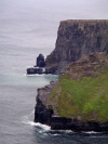 Ireland - Moher cliffs  (county Clare): like moss (photo by R.Wallace)