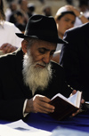 Israel - Jerusalem - study of the Torah - elderly Orthodox man - photo by Walter G. Allgwer