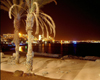 Israel - Eilat, South district: the bay on a hot summer night - photo by Efi Keren