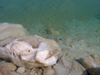 Israel - Dead sea: salt boulders - photo by Efi Keren
