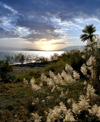 Israel - Sea of Galilee / Lake Tiberias: dusk - photo by E.Keren