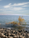 Israel - Sea of Galilee / Lake Tiberias: lake shore - Jordan Great Rift Valley - photo by E.Keren