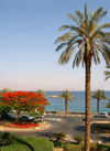 Israel - Eilat: view of the bay - Gulf of Aqaba / Eilat - photo by Efi Keren