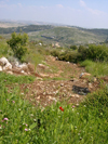 Israel - Neot Kdumim / Neot Kedumim, Center District: Israeli landscape - national nature reserve - photo by E.Keren