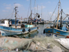 Israel - Acre / Akko: fishing boats in the Old Port - photo by E.Keren