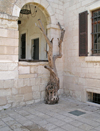 Haifa, Israel: life after death - old tree - photo by E.Keren