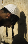 Israel - Jerusalem - young Orthodox Jew praying at the Western Wall - photo by Walter G. Allgwer