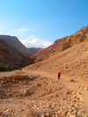 Ein Gedi oasis and National Park, South district, Israel: people strolling in the park - photo by E.Keren