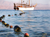 Eilat, South district, Israel: rope with floats on Red sea surface and the yacht L'Amie - Mifratz Eilat - photo by E.Keren