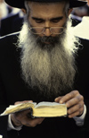 Israel - Jerusalem - study of the Torah - bearded Orthodox man - photo by Walter G. Allgwer