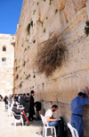 Jerusalem, Israel: locals and pilgrims pray at the men's section of the Wailing wall / Western Wall / the Kotel - muro das lamentaes - Mur des Lamentations - Klagemauer - photo by M.Torres