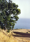 Israel - Sea of Galille / Lake Tiberias / Yam Kinneret / Kineret lake: site of the Sermon on the Mount - photo by G.Frysinger