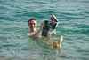 Israel - Dead sea: reading a newspaper while floating - buoyancy caused by high salinity - photo by J.Kaman