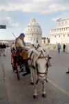 Italy / Italia - Pisa: cart and the Baptistry - photo by M.Bergsma