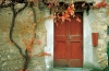 Italy / Italia - Chianti (Tuscany / Toscana): red door (photo by Stefano Lupi)