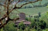 Italy / Italia - Chianti  (Tuscany / Toscana): farm and Chianti vineyards (photo by Stefano Lupi)