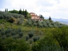 Italy / Italia - Tuscany / Toscana: house and vineyards (photo by Hy Waxman)