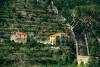 Italy / Italia - Amalfi (Campania, Naples province): villas on hillside (photo by M.Gunselman)