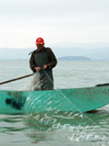 Italy / Italia - Trasimeno lake: fisherman pulling the nets (photo by Emanuele Luca)