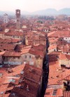 Italy / Italia - Lucca (Tuscany / Toscana) / LCV : roofs (photo by Miguel Torres)