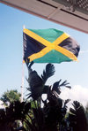 Jamaica - Kingston: Jamaican flag (photo by Miguel Torres)