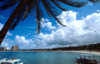 Jamaica - Ocho Rios: beach view - under a coconut tree - photo by Francisca Rigaud