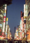 Japan - Tokyo: evening - neon lights - photo by M.Torres
