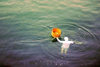 Japan - Kobe - Honshu island: pearl fisher diving - photo by Cornelia Schmidt