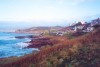 Jersey - Petit Port: from Corbiere point