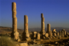 Jordan - Jerash / Jarash: ruined columns - photo by J.Wreford