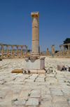 Jerash - Jordan: forum - plinth for a statue, now hosting a column - the Forum - oval plaza - Roman city of Gerasa - photo by M.Torres