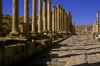 Jordan - Jerash / Jarash: the Colonnaded street - Cardo Maximus - photo by J.Wreford