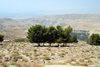 Madaba - Jordan: view of the valley - photo by M.Torres