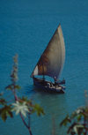 Kenya - Kilifi: boat - dow sailing in the Indian Ocean - photo by F.Rigaud