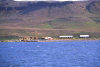 Kerguelen island: ruins of the whaling station (photo by Francis Lynch)