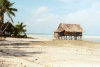 Kiribati - Tarawa: a dwelling by the sea (photo by G.Frysinger)