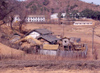 North Korea / DPRK - Socialist Farm - photo by M.Torres