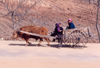 North Korea / DPRK - Chongju province: an up hill struggle - cart - photo by M.Torres