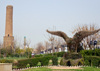 Erbil / Hewler / Arbil / Irbil, Kurdistan, Iraq: Minare Park - Mudhafaria Minaret and a topiary living sculpture of an eagle - photo by M.Torres