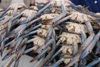 Kuwait city: fish market - crabs - photo by M.Torres